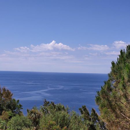דירות Forio di Ischia Casa De Somma מראה חיצוני תמונה