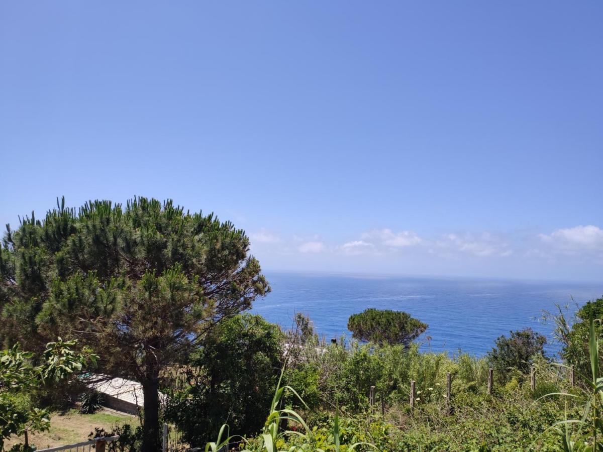 דירות Forio di Ischia Casa De Somma מראה חיצוני תמונה